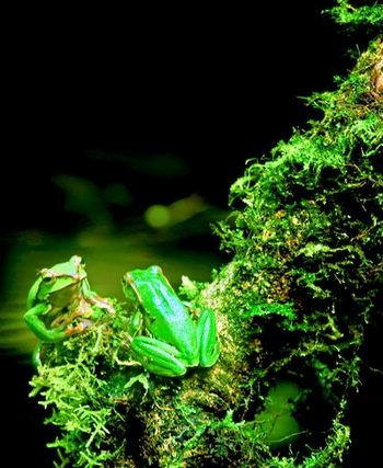 博客网 - 云南省保山市- 历史的沧桑带不走岁月