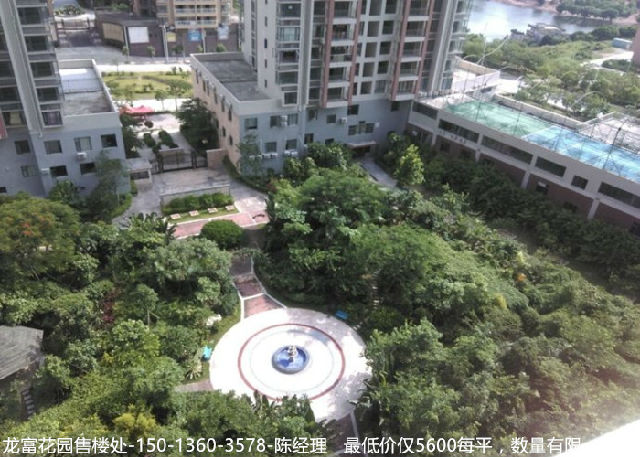 大亚湾龙富花园,龙富花园楼盘,大亚湾
