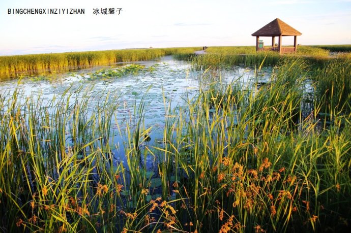 富锦湿地公园,三江平原上的水乡绿洲 富锦湿地公园,三江平原上的水乡绿洲