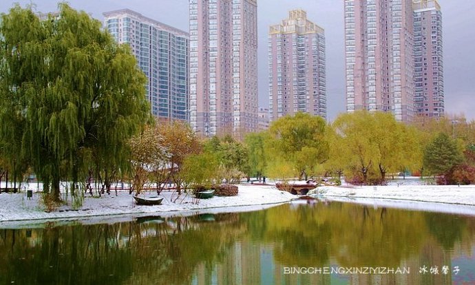 哈尔滨今天下雪了! 哈尔滨今天下雪了!