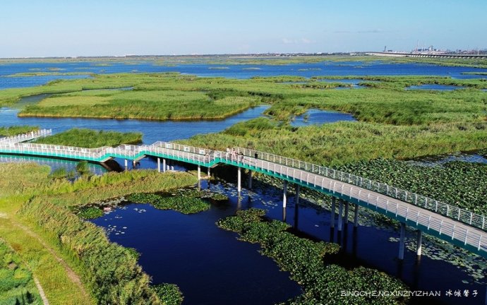 相约大庆湿地,在那片水韵灵动间逍遥 相约大庆湿地,在那片水韵灵动间逍遥