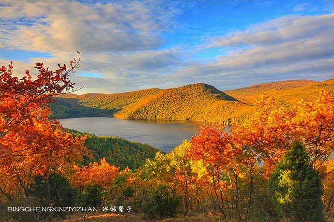 这就是黑龙江的秋天!你动心了吗? 这就是黑龙江的秋天!你动心了吗?