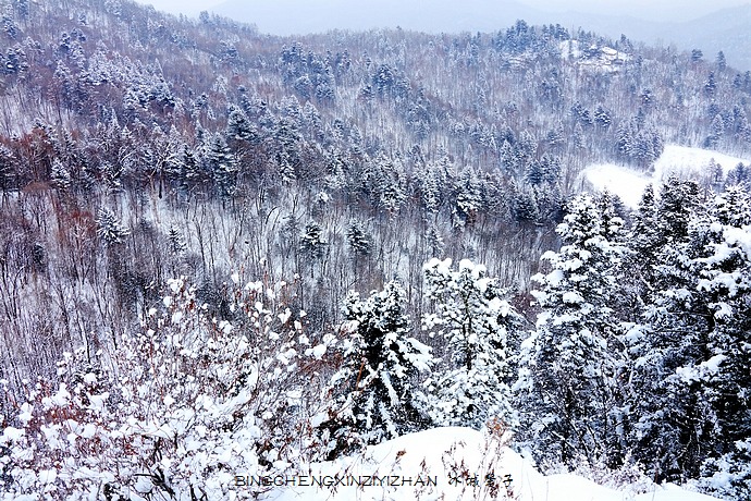 冬游伊春桃山,给疲惫的心灵放个假 冬游伊春桃山,给疲惫的心灵放个假