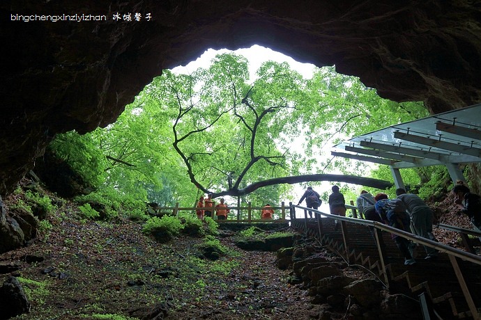 一场穿越时空的旅行:镜泊湖火山地下森林
