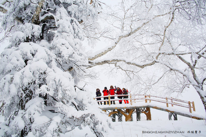 走进冰雪山水画卷凤凰山,来一场风花雪月的穿越 走进冰雪山水画卷凤凰山,来一场风花雪月的穿越