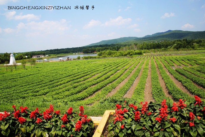 我把好梦寄放在伊春--听高环书记诠释未来的伊春 我把好梦寄放在伊春--听高环书记诠释未来的伊春