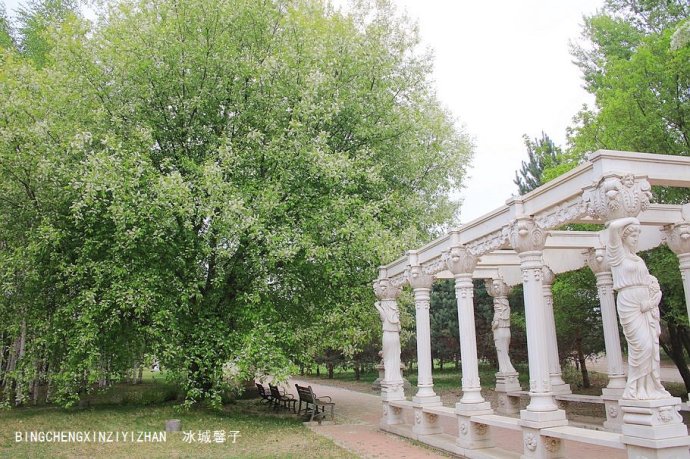 同在一片蓝天下,中俄青少年相聚伏尔加 同在一片蓝天下,中俄青少年相聚伏尔加