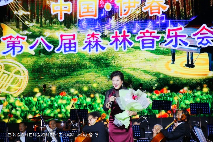 在小兴安岭的森林怀抱里,聆听一场美妙动听的音乐会 在小兴安岭的森林怀抱里,聆听一场美妙动听的音乐会