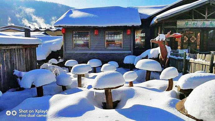 11月份的雪乡什么样?雪乡今年有什么看点和措施? 11月份的雪乡什么样?雪乡今年有什么看点和措施?