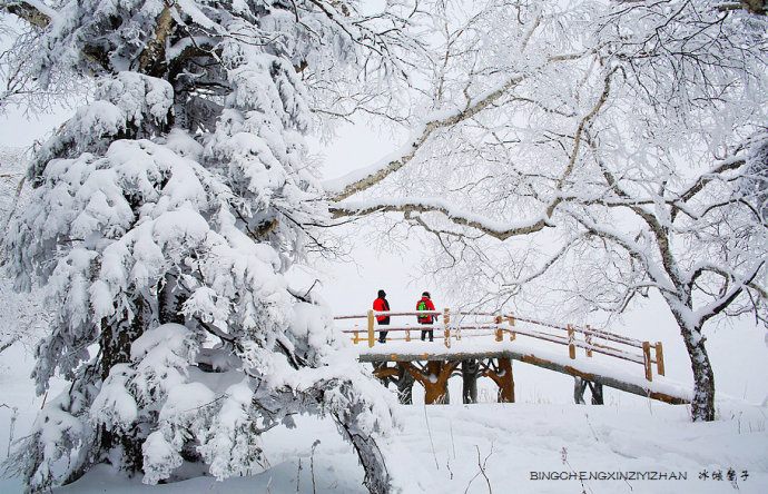 走进冰雪山水画卷凤凰山,来一场风花雪月的穿越 走进冰雪山水画卷凤凰山,来一场风花雪月的穿越
