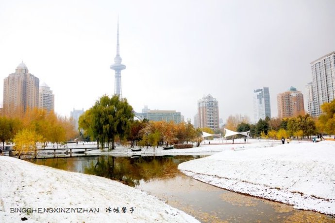 哈尔滨今天下雪了! 哈尔滨今天下雪了!