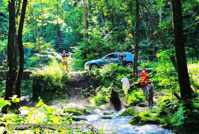 有一个22度的夏天,叫伊春! 有一个22度的夏天,叫伊春!