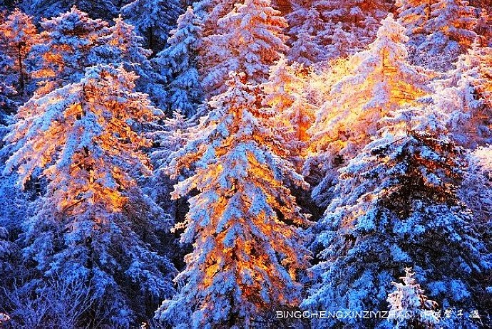 诗意的栖居地--林都伊春八大景观、最美的十大景区是哪里? 诗意的栖居地--林都伊春八大景观、最美的十大景区是哪里?