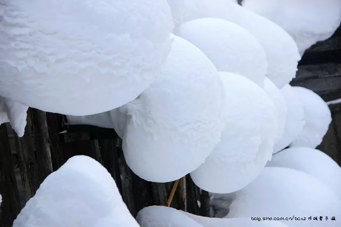 大奖来袭!中国雪乡10万重金征集吉祥物创意设计,寻找有创意的你! 大奖来袭!中国雪乡10万重金征集吉祥物创意设计,寻找有创意的你!