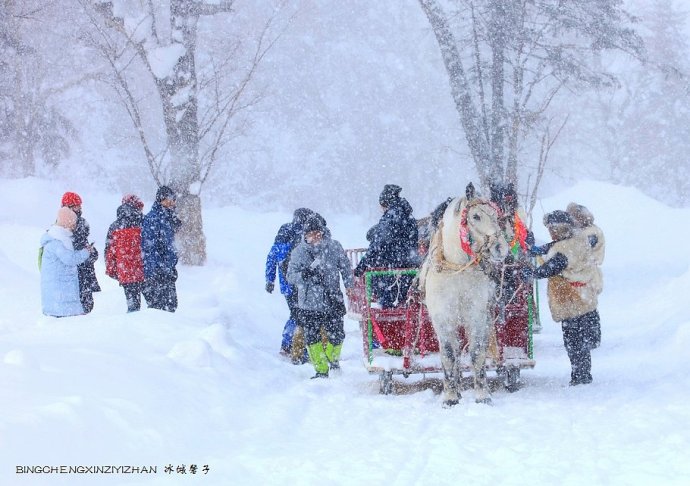 凤凰山高山大雪原,远离尘嚣的雪世界 凤凰山高山大雪原,远离尘嚣的雪世界