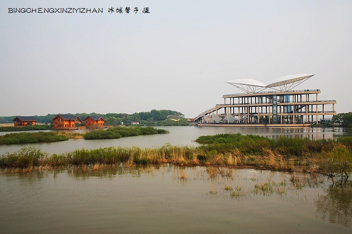 走进兴凯湖湿地,停下来享受静美时光 走进兴凯湖湿地,停下来享受静美时光