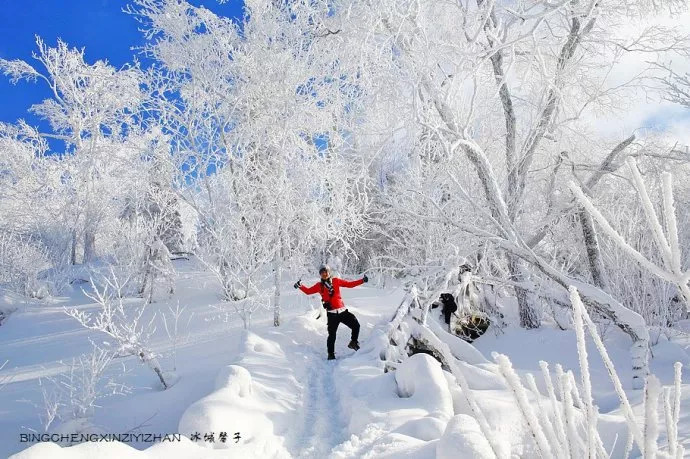 大奖来袭!中国雪乡10万重金征集吉祥物创意设计,寻找有创意的你! 大奖来袭!中国雪乡10万重金征集吉祥物创意设计,寻找有创意的你!