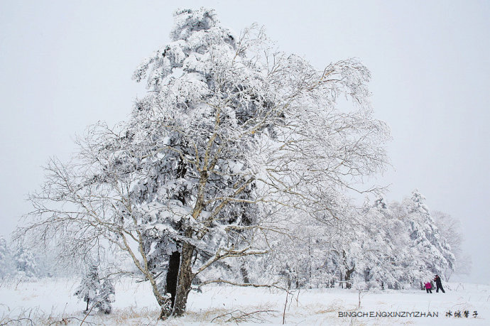 走进冰雪山水画卷凤凰山,来一场风花雪月的穿越 走进冰雪山水画卷凤凰山,来一场风花雪月的穿越