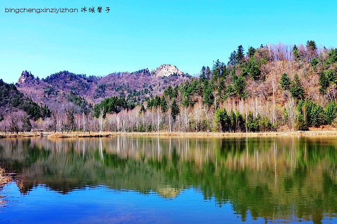 伊春桃山的春天,杜鹃花开满山坡 伊春桃山的春天,杜鹃花开满山坡