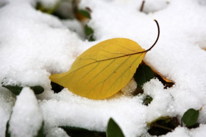 哈尔滨今天下雪了! 哈尔滨今天下雪了!