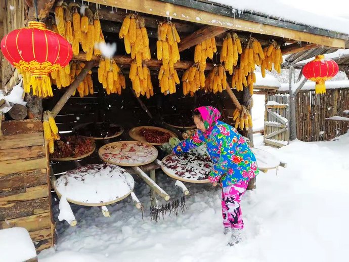 11月份的雪乡什么样?雪乡今年有什么看点和措施? 11月份的雪乡什么样?雪乡今年有什么看点和措施?