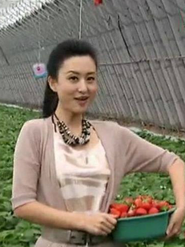 节目组,当时,这档节目中已经有了一位非常成熟的节目主持人董卿