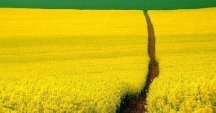 心宽一寸,路宽一丈。