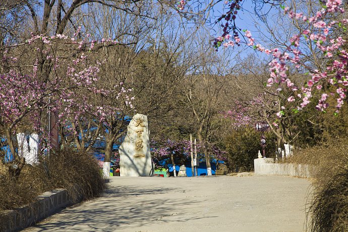 春节倒计时啦!八大处公园红红火火备战庙会 春节倒计时啦!八大处公园红红火火备战庙会