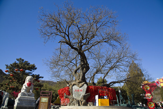 春节将至,去祈福吧,京城香火旺盛的八大处 春节将至,去祈福吧,京城香火旺盛的八大处