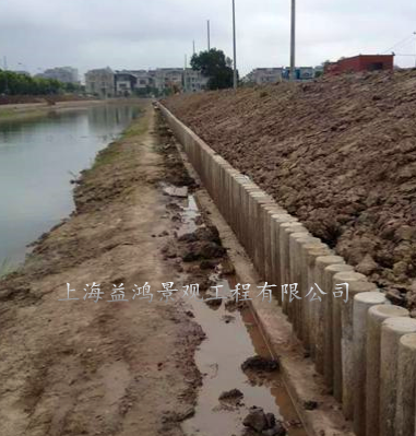 前几日在嘉兴市海盐县,几名工人正在修建 水泥仿木桩型生态护岸.