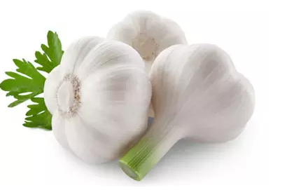 有机蔬菜