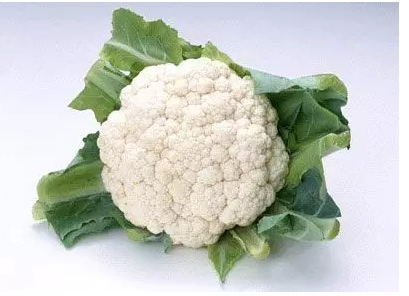 有机蔬菜