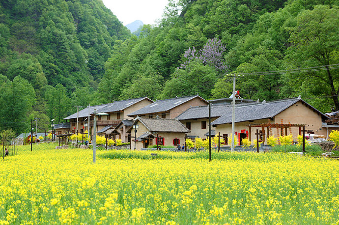 [转载]美丽山村