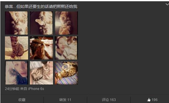 汪峰四妻连生三女前妻葛荟婕含沙射影恭喜 汪峰四妻生三女,章子怡会追生儿吗,前妻葛荟婕为何含沙射影恭喜