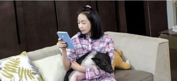 《我家那闺女》女星们奇招吸睛,王鸥拉倪妮入镜,宋茜的猪抢风头 《我家那闺女》女星们奇招吸睛,王鸥拉倪妮入镜,宋茜的猪抢风头