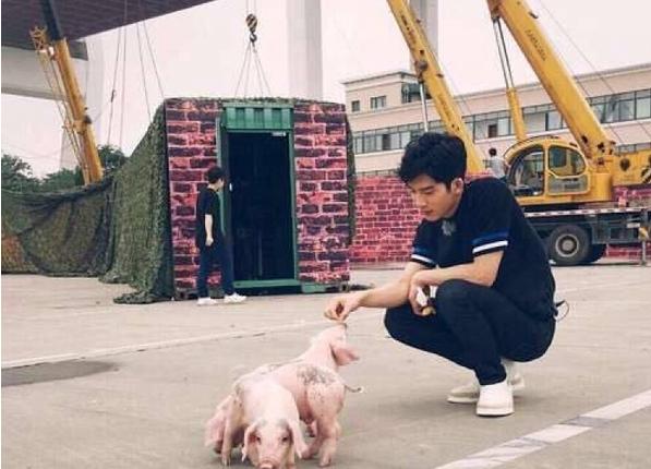 与倪妮分手后的井柏然喜欢上小香猪,喂食洗澡挠痒宠上天像养儿子 与倪妮分手后的井柏然喜欢上小香猪,喂食洗澡挠痒宠上天像养儿子