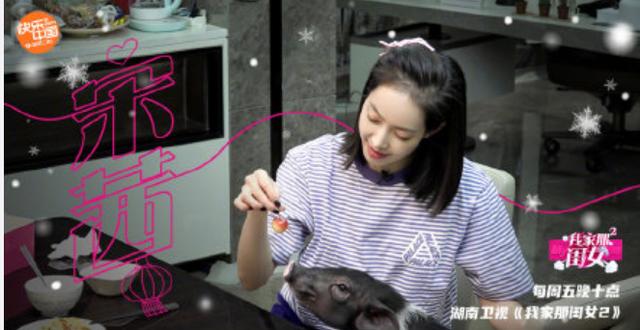 《我家那闺女》女星们奇招吸睛,王鸥拉倪妮入镜,宋茜的猪抢风头 《我家那闺女》女星们奇招吸睛,王鸥拉倪妮入镜,宋茜的猪抢风头