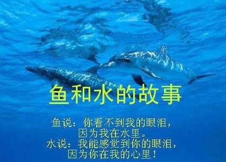 广告泛滥的湖南卫视《幻乐之城》的冠名商一言难尽 广告泛滥的湖南卫视《幻乐之城》的冠名商一言难尽