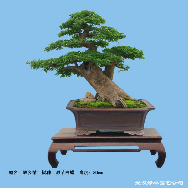 Խڰ辰ڶô