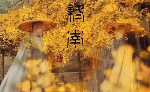 《神雕侠侣》中,新五绝的软肋各是什么 《神雕侠侣》中,新五绝的软肋各是什么