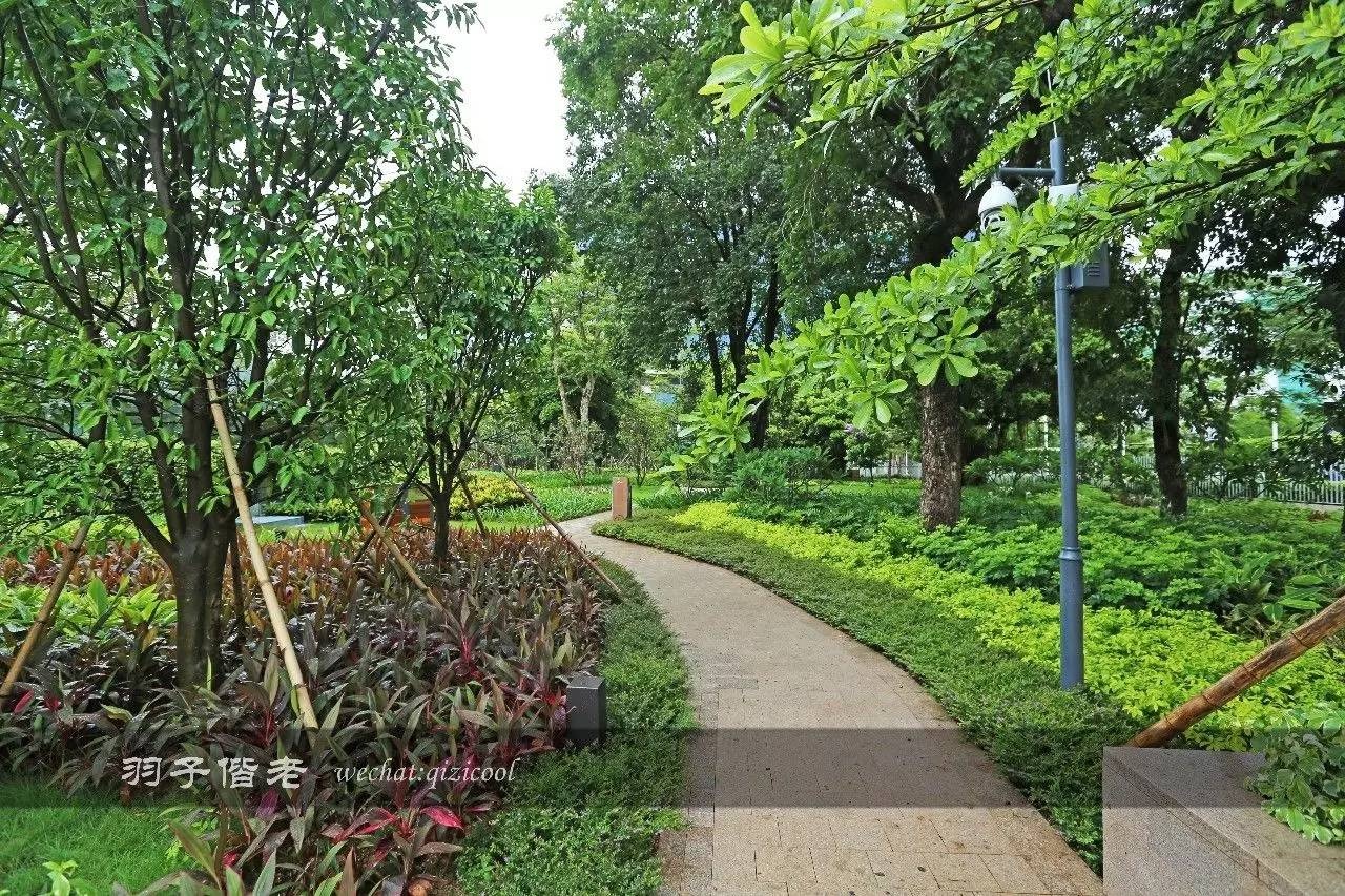 城市轻旅行,别再辜负周末的大好时光