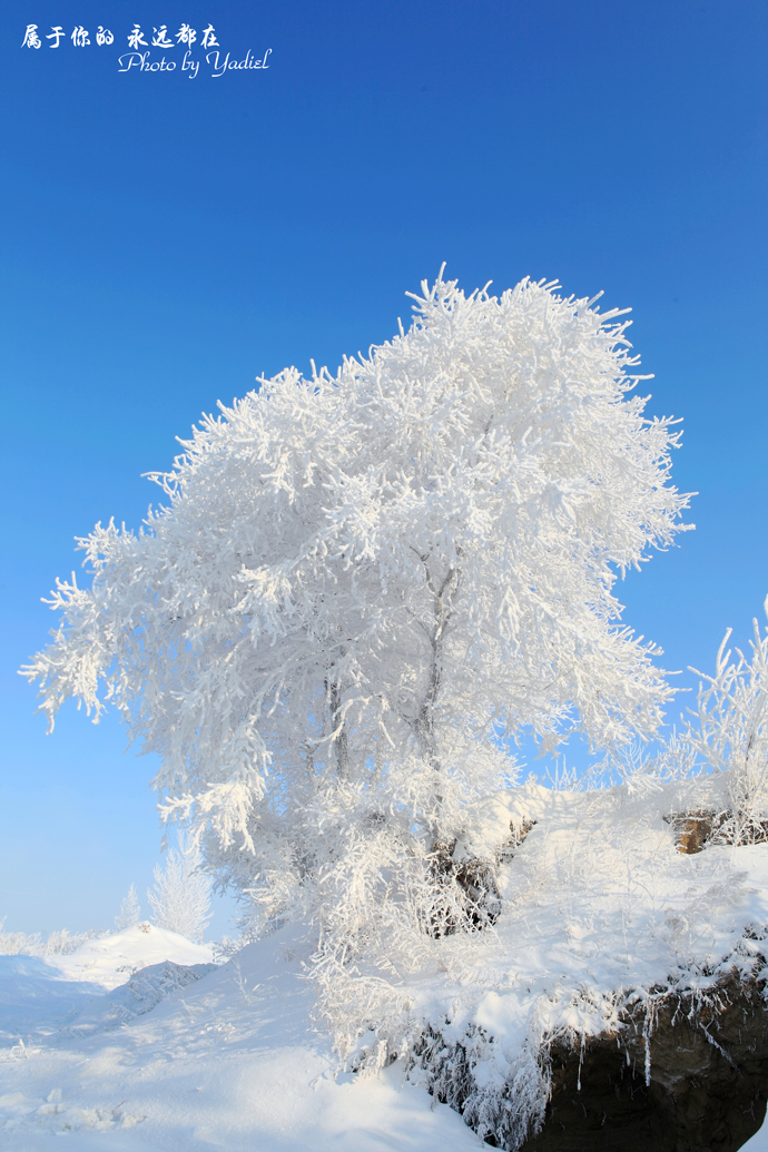 【冰沁于心】带上老婆去吉林:婀娜多姿的冰雪雾凇