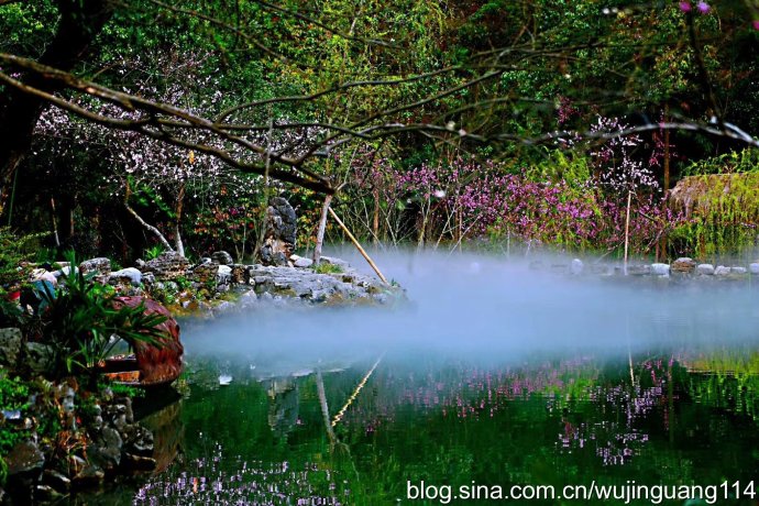 野桃含笑竹篱短,人间仙境桃花源(图)