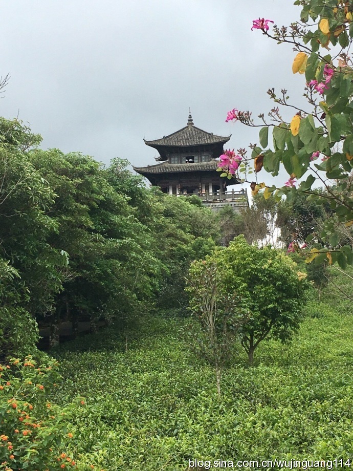 荡漾在中华普洱茶博览苑(图) 荡漾在中华普洱茶博览苑(图)