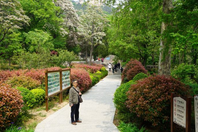 佛教和道教在一个景区的,好像只有崂山,这是严华寺! 佛教和道教在一个景区的,好像只有崂山,这是严华寺!