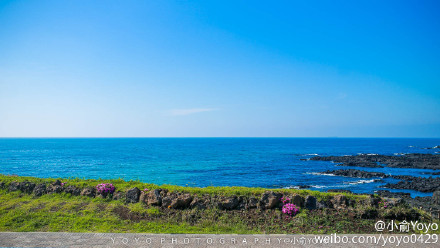 韩国:你一定不知道的济州岛特殊美食 韩国:你一定不知道的济州岛特殊美食